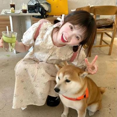 懵懵哒爱情